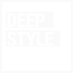 Deep Style Images and Videos